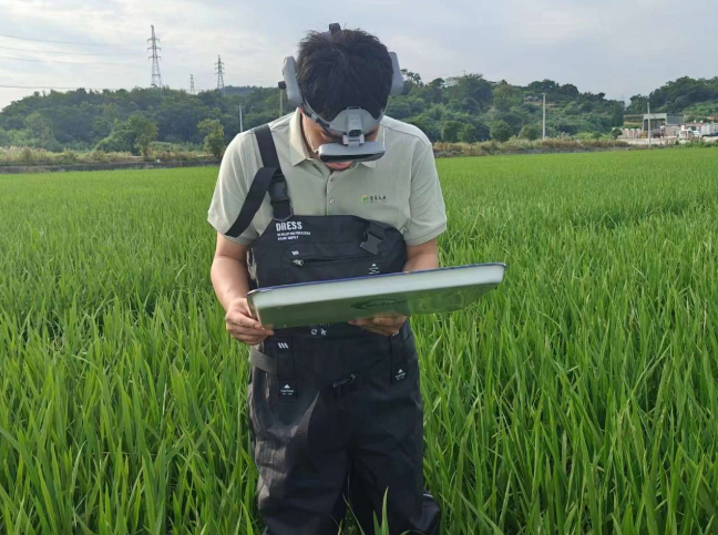 广州黄埔：打造新型显示产业高地